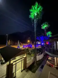Dolphin Apart & - 56