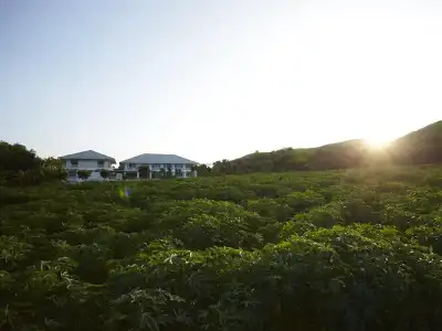 Santosha Health Lifestyle Resort - 25