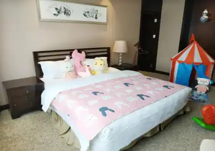 Grand Soluxe International Xi'an - 60