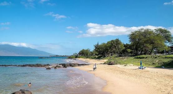 Maui Parkshore #212 - 15