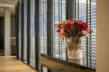 Anselmo Buenos Aires Curio Collection By Hilton - 16
