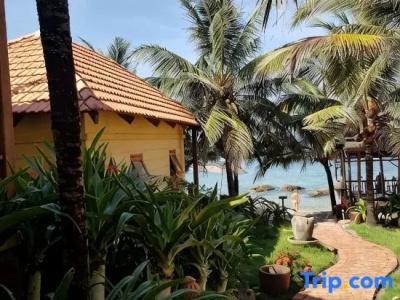 Free Beach Resort - 29