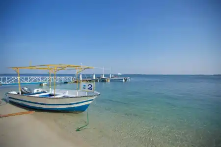 Bin Majid Flamingo Beach Resort - 19
