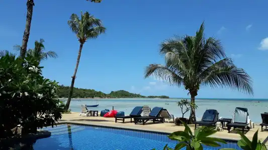 Papillon Resort - 19