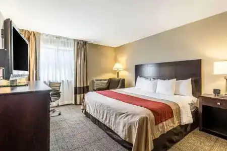 Comfort Inn Lansing West - 40