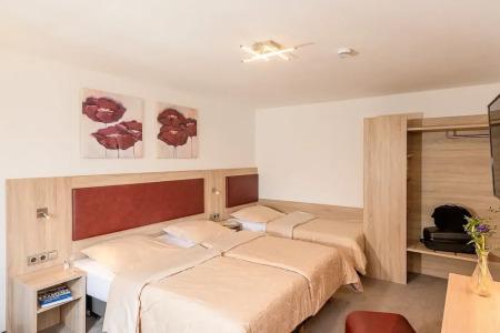 Altes Brauhaus Garni - 29