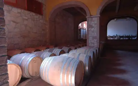 Tenuta Elisabetta - 10