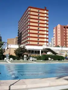 Caballo de Oro - 8