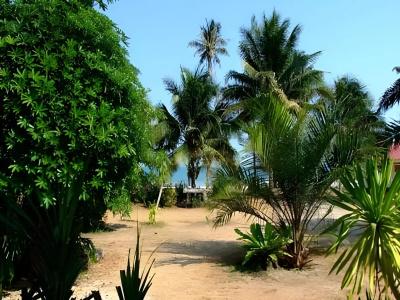 Chill Beach Resort - 11