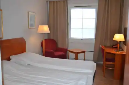 Bjerkvikl - 6