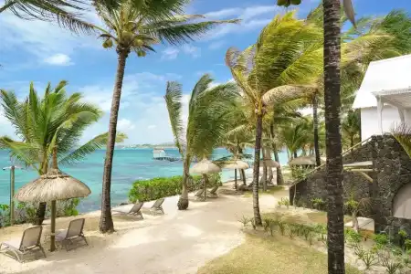 Tropical Attitude - Adults only - 10