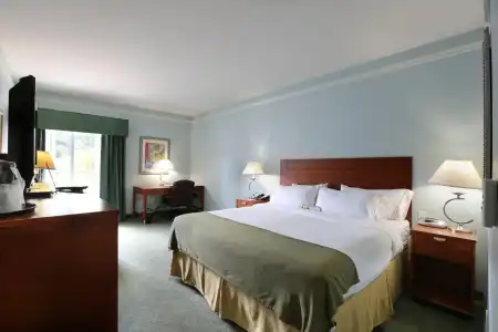 Holiday Inn Express Tampa N I-75 - University Area by IHG - 54