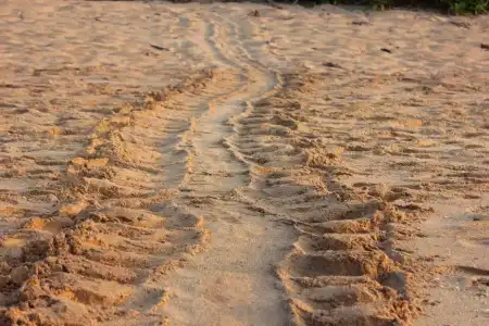 Ananthaya Beach - 10