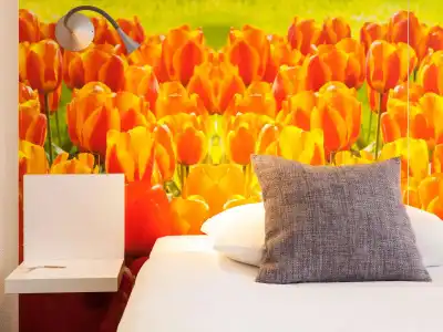 Ibis Styles Amsterdam City - 10