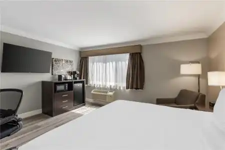 Best Western Plus LA Mid Town - 34