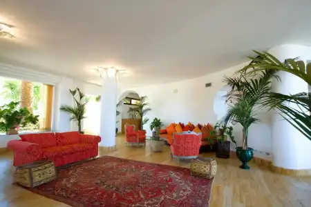 Alberi del Paradiso - 0