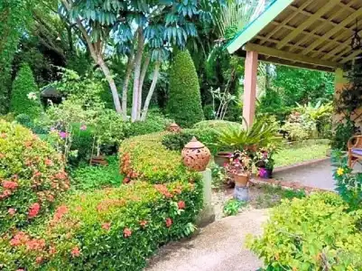 Ekman Garden Resort Nakhon Si Thammarat - 76