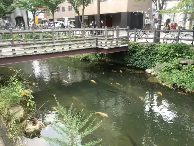 Sapporo Oriental - 21
