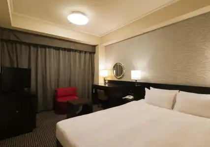 Villa Fontaine Grand Tokyo - Roppongi - 11