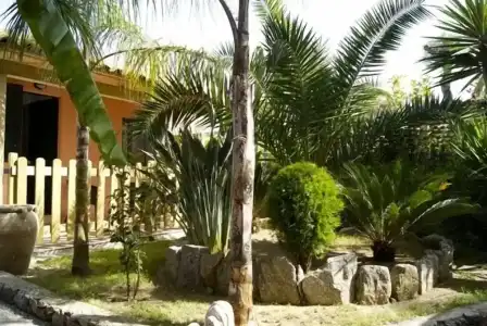 Park Oasi Residence - 81