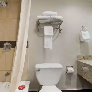 SureStay by Best Western Laredo - 48