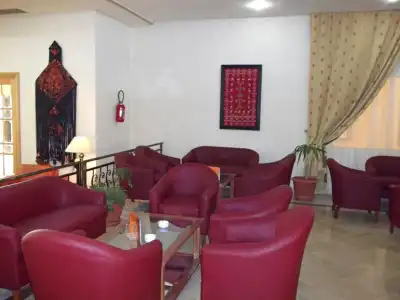 Sun Palm - 22