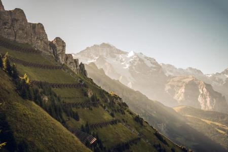 Jungfraublick - 27