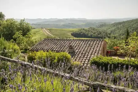 Dievole Wine Resort - 36