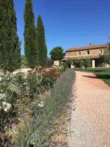 Locanda dell'Aioncino - 7