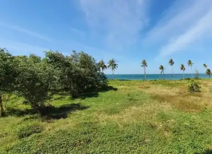 Palmy Luxury Beach Phú Quốc - 23
