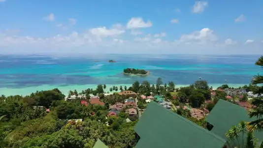 Mango Lodge - 10