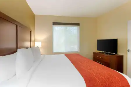 Comfort Inn & Suites near Ontario Airport - 82