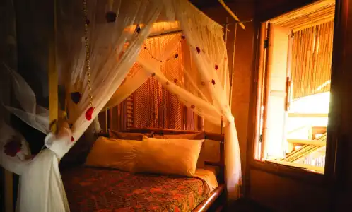 Paree Hut Resort Koh Sichang - 1