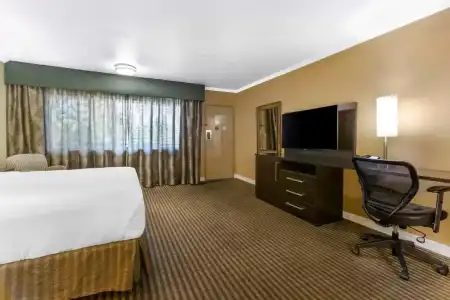 Royal Sun & Suites - 94