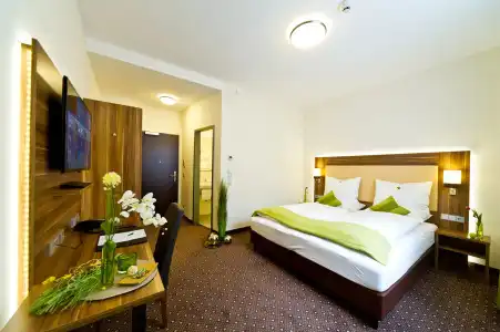 Wohlfühl-Neu Heidelberg - 6