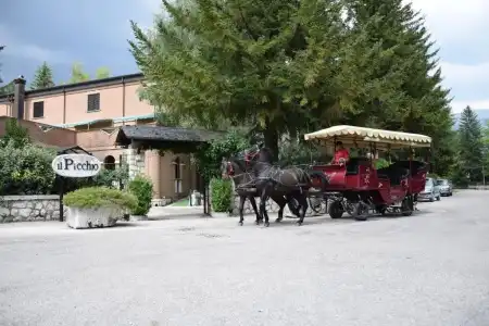 LH il Picchio - 38