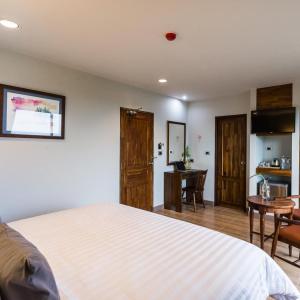 Olive Tree - 19