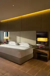 Hyatt Regency Dubai Creek Heights - 33