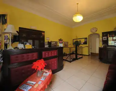 Alexander & Spa - 13