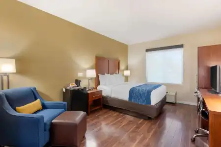 Comfort Inn & Suites near Ontario Airport - 2