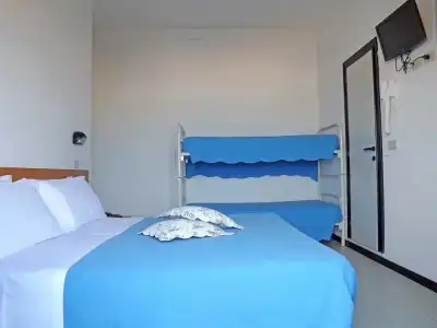 Paloma - 3