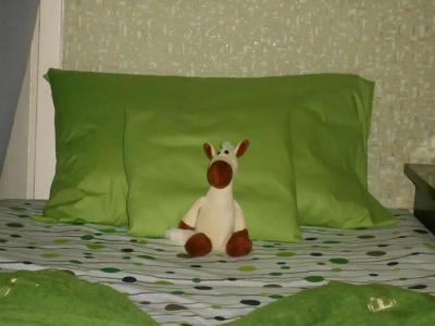 Guest House Nise - 14