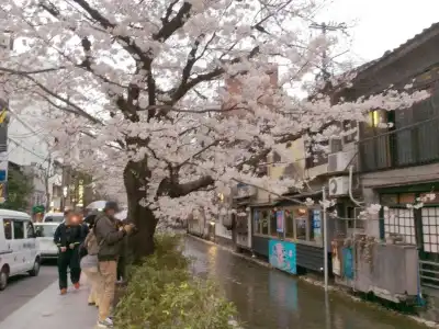 Kyoto Happy Family - 2