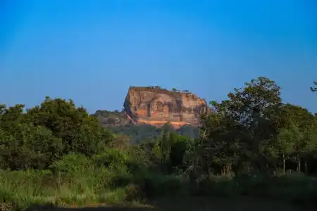 Sigiriya Rock Gate Resort - 72