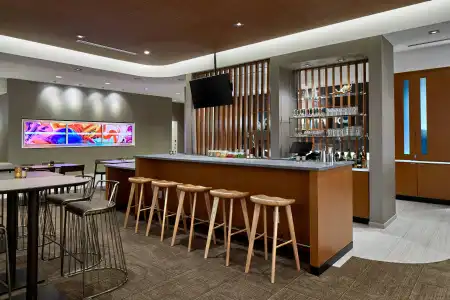 SpringHill Suites by Marriott Charlotte at Carowinds - 11