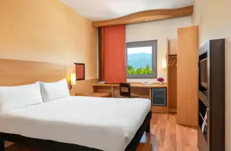 ibis Bursa - 60