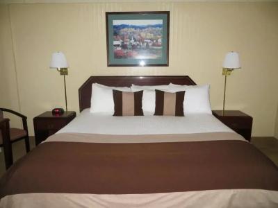 Ramada by Wyndham Denver Downtown - 5