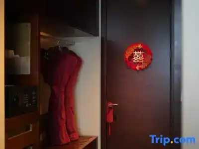 Radisson Blu Plaza Chongqing - 29