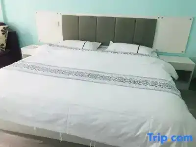 Tenho - 133
