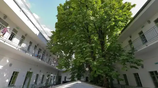 The Hive Party Hostel - 15